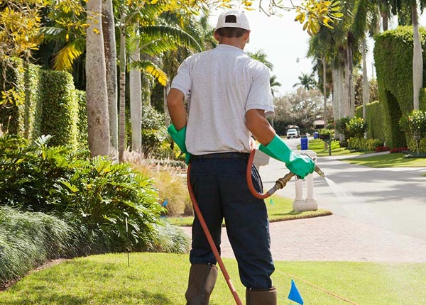 About Molt MT Pest Control